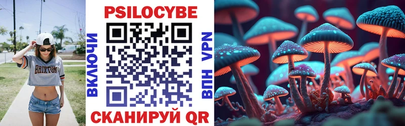 Галлюциногенные грибы Psilocybine cubensis Купить Спасск